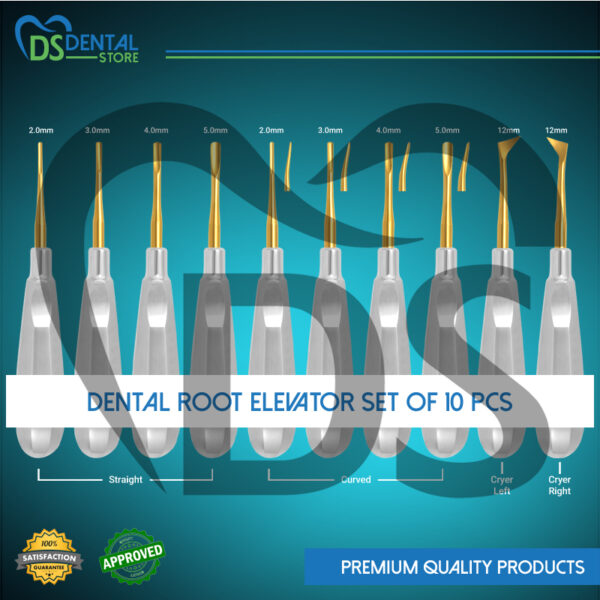 Dental Root Elevator Set of 10 Pcs Golden Tip