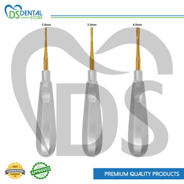 Dental Root Elevator 3Pcs Set Golden Tip
