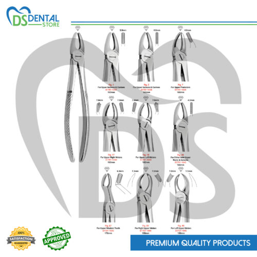 Fino Extraction Forceps Set of 9 Pcs